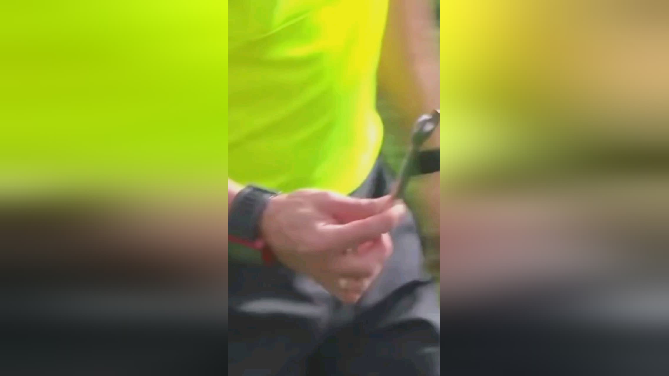 杯时情
